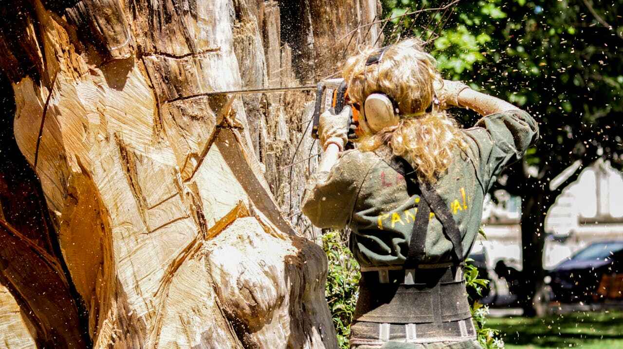 Tree Branch Trimming in Preston, MN